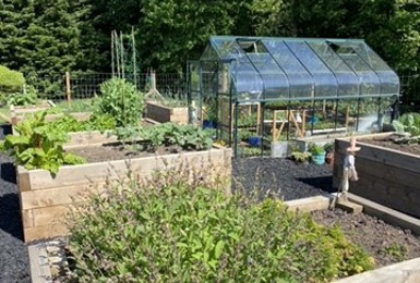 Many hands make light work in the allotments at Charters