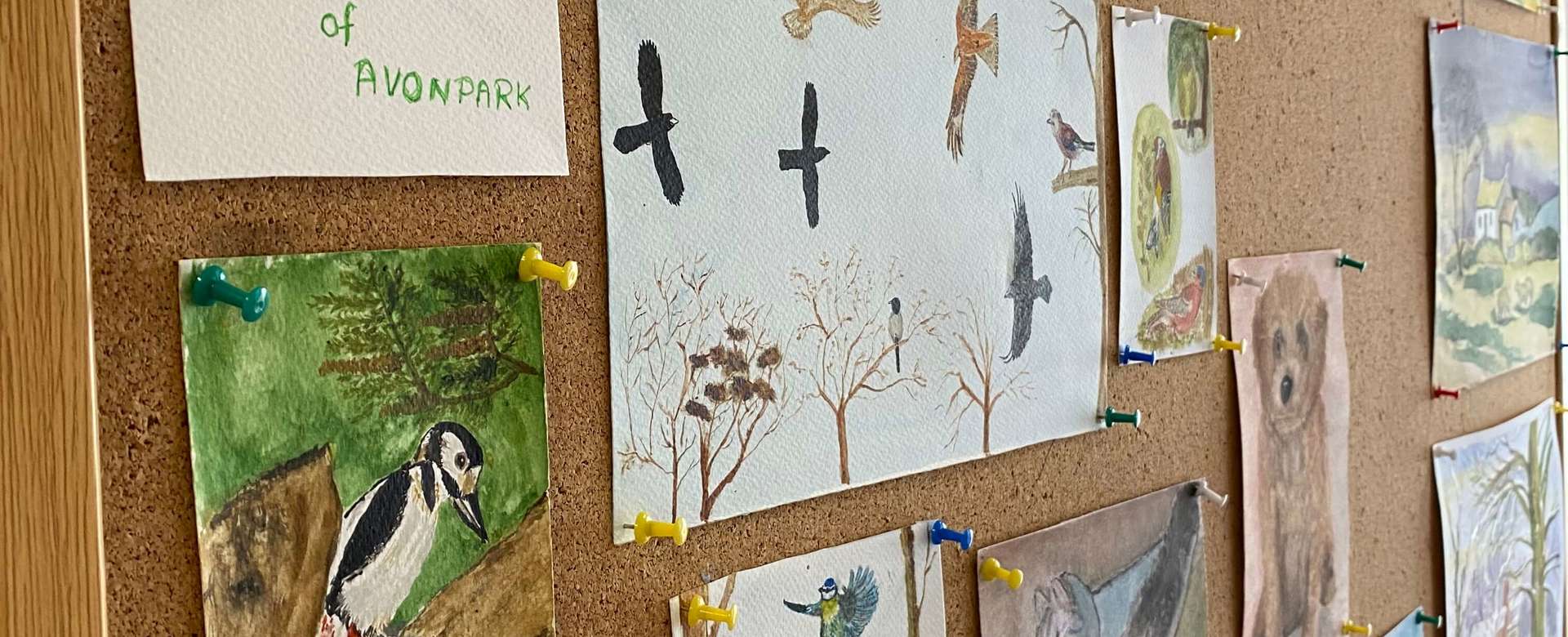 Birds Of Avonpark Tiny