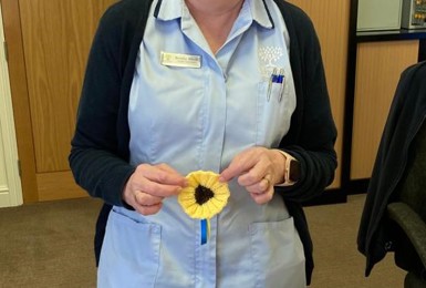 Sunflowers for the Ukraine