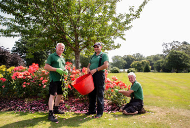 Explore the gardens at Lime Tree Village