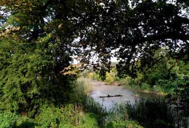 A Wellbeing Walk in Stover Park