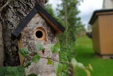 Inviting birds back into Debden Grange