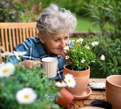 Retirement