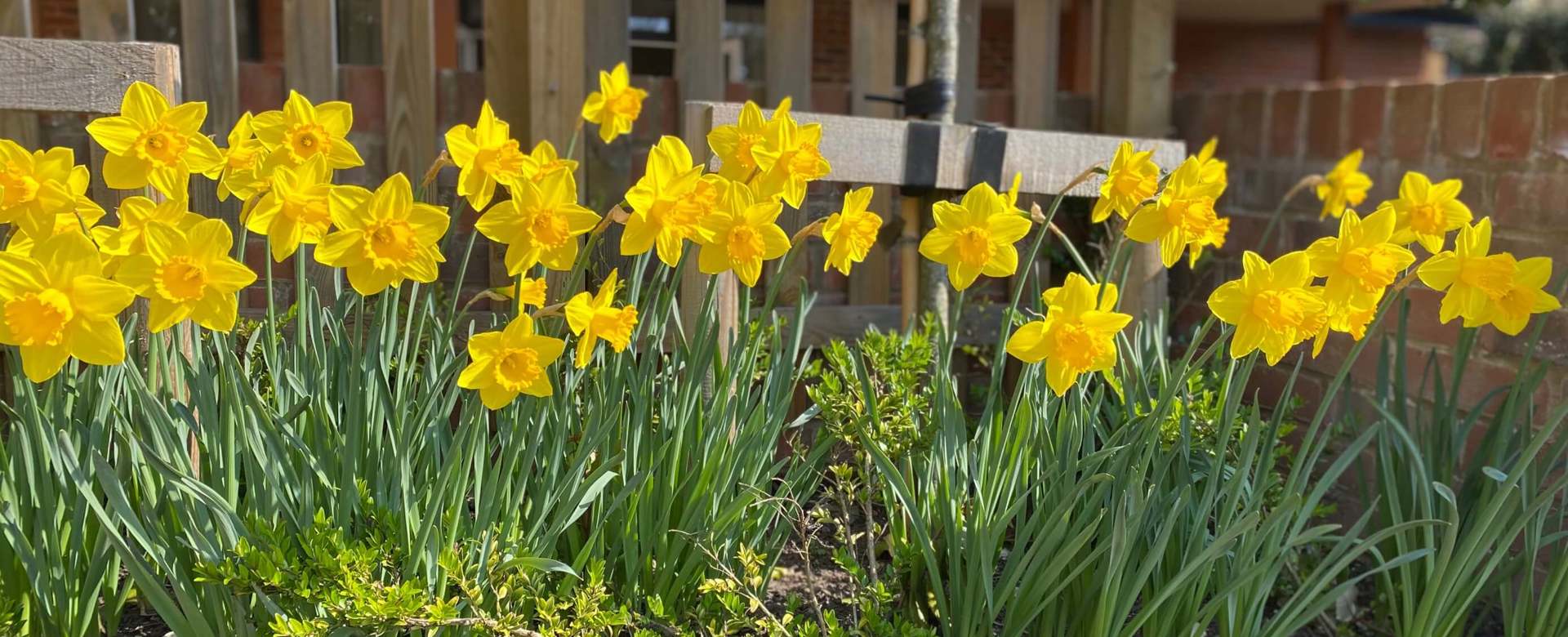 Residents Enjoy The Woodland Walking Trail At Gradwell Park