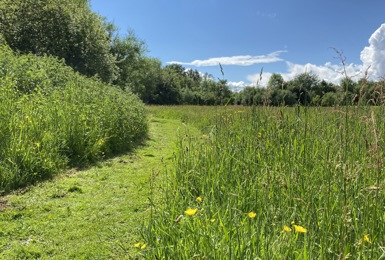 Butterfly Meadow Walk at Elmbridge Village