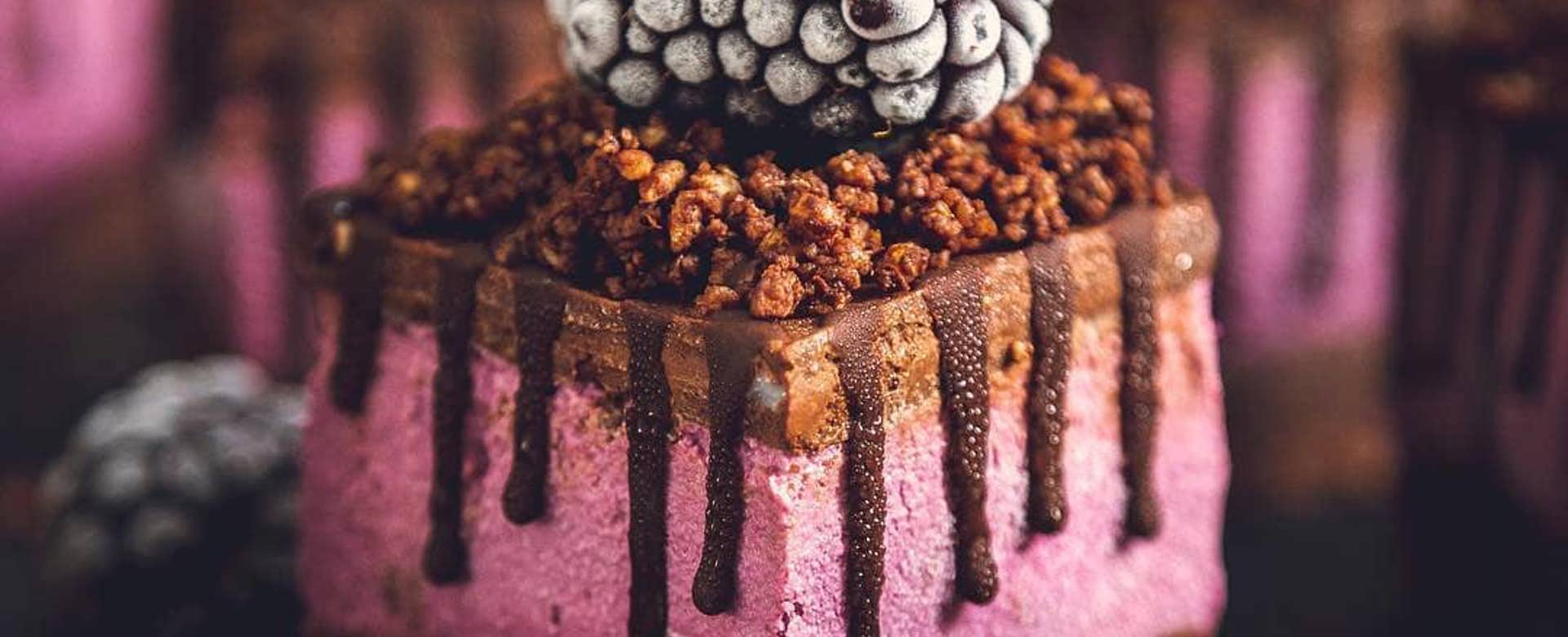 Robi Vegan Raw Cheesecake