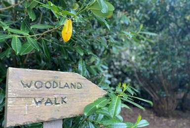 Get your fill of nature at Lime Tree Village