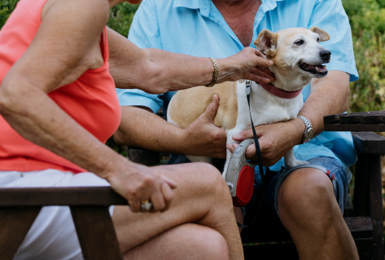 Great Communities, Amazing Lives: A Celebration of Life in Our Villages