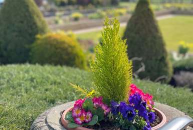 Life is in full bloom in our gardens